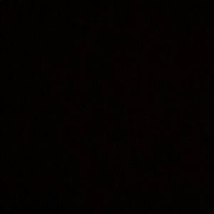 Meet your Posher, Shane